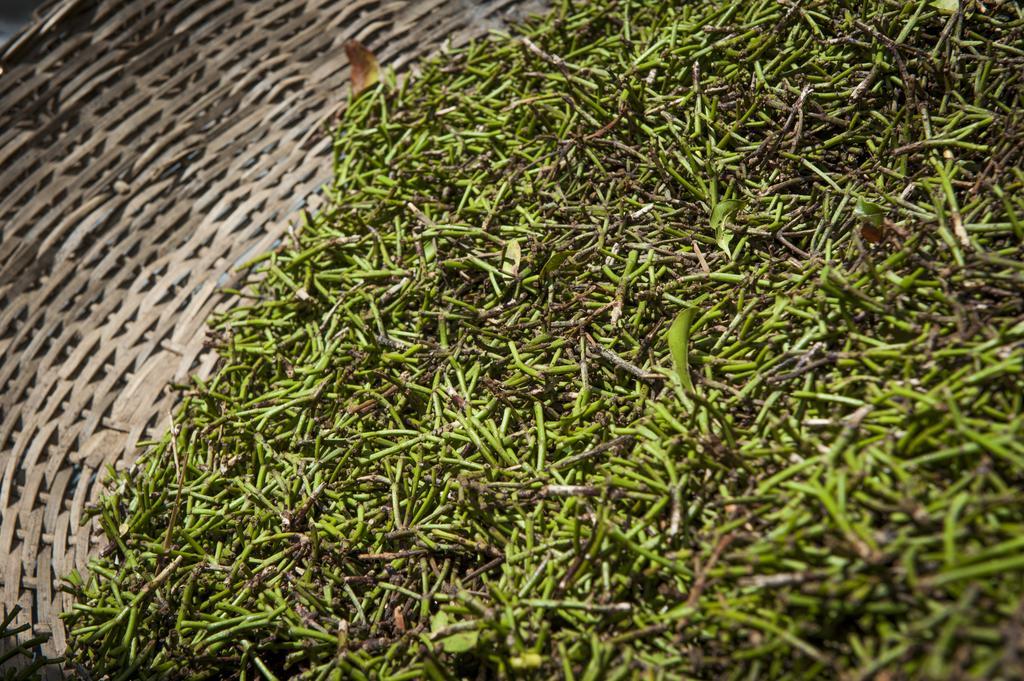 The Kandy Samadhicentre Narampanawa Kültér fotó